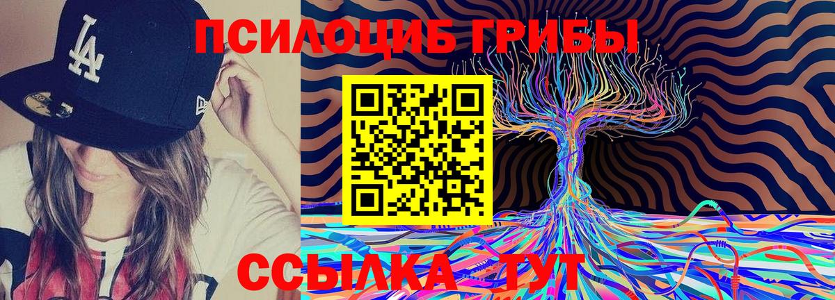 Галлюциногенные грибы мицелий  Галлюциногенные грибы мицелий  Вход с VPN  Каменка 