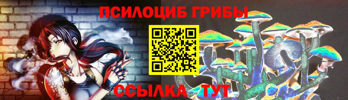 Галлюциногенные грибы Psilocybe Каменка